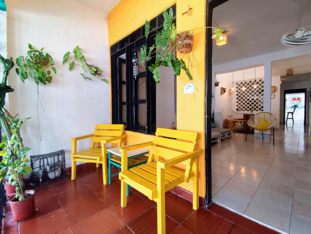 Apartment Bona Vida